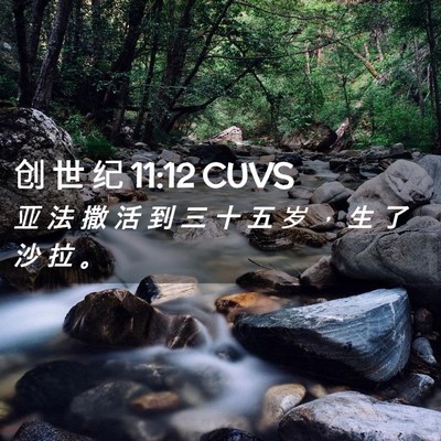 Picture 02 - 创 世 纪 11:12 CUVS - 亚 法 撒 活 到 三 十 五 岁 ， 生 了 - Bible Verse Picture