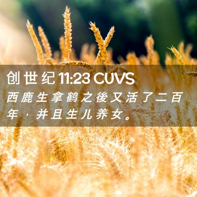 Picture 02 - 创 世 纪 11:23 CUVS - 西 鹿 生 拿 鹤 之 後 又 活 了 二 百 - Bible Verse Picture