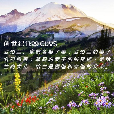 Picture 02 - 创 世 纪 11:29 CUVS - 亚 伯 兰 、 拿 鹤 各 娶 了 妻 ： 亚 - Bible Verse Picture