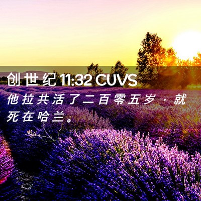 Picture 02 - 创 世 纪 11:32 CUVS - 他 拉 共 活 了 二 百 零 五 岁 ， 就 - Bible Verse Picture