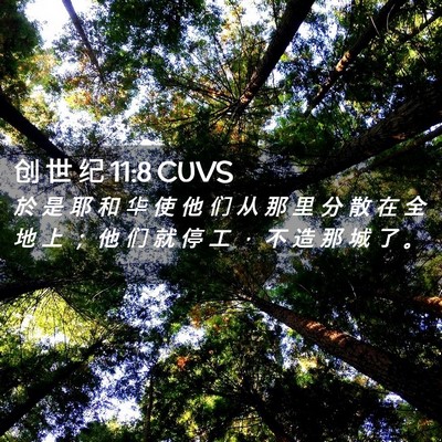 Picture 02 - 创 世 纪 11:8 CUVS - 於 是 耶 和 华 使 他 们 从 那 里 分 - Bible Verse Picture