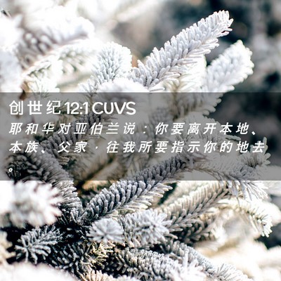 Picture 02 - 创 世 纪 12:1 CUVS - 耶 和 华 对 亚 伯 兰 说 ： 你 要 离 - Bible Verse Picture