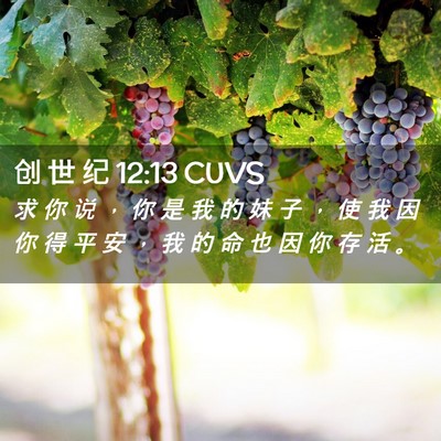 Picture 02 - 创 世 纪 12:13 CUVS - 求 你 说 ， 你 是 我 的 妹 子 ， 使 - Bible Verse Picture