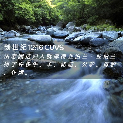 Picture 02 - 创 世 纪 12:16 CUVS - 法 老 因 这 妇 人 就 厚 待 亚 伯 兰 - Bible Verse Picture