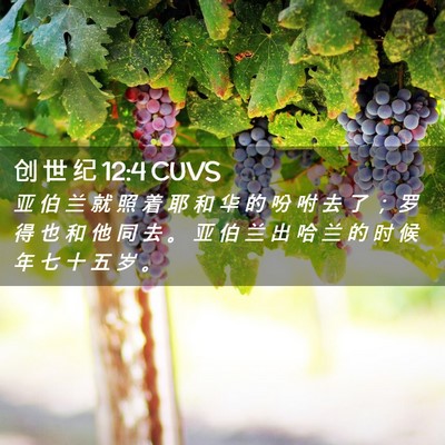 Picture 02 - 创 世 纪 12:4 CUVS - 亚 伯 兰 就 照 着 耶 和 华 的 吩 咐 - Bible Verse Picture