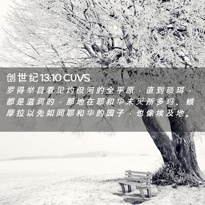 Picture 02 - 创 世 纪 13:10 CUVS - 罗 得 举 目 看 见 约 但 河 的 全 平 - Bible Verse Picture
