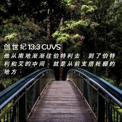 Picture 02 - 创 世 纪 13:3 CUVS - 他 从 南 地 渐 渐 往 伯 特 利 去 ， - Bible Verse Picture