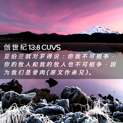 Picture 02 - 创 世 纪 13:8 CUVS - 亚 伯 兰 就 对 罗 得 说 ： 你 我 不 - Bible Verse Picture