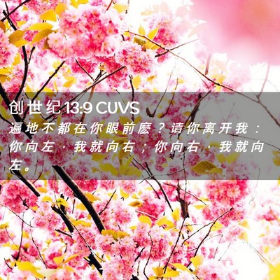 Picture 02 - 创 世 纪 13:9 CUVS - 遍 地 不 都 在 你 眼 前 麽 ？ 请 你 - Bible Verse Picture