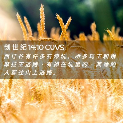 Picture 02 - 创 世 纪 14:10 CUVS - 西 订 谷 有 许 多 石 漆 坑 。 所 多 - Bible Verse Picture