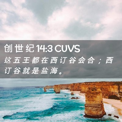 Picture 02 - 创 世 纪 14:3 CUVS - 这 五 王 都 在 西 订 谷 会 合 ； 西 - Bible Verse Picture