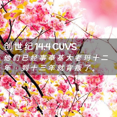 Picture 02 - 创 世 纪 14:4 CUVS - 他 们 已 经 事 奉 基 大 老 玛 十 二 - Bible Verse Picture