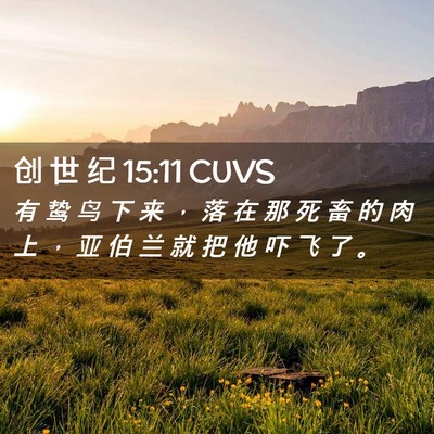 Picture 02 - 创 世 纪 15:11 CUVS - 有 鸷 鸟 下 来 ， 落 在 那 死 畜 的 - Bible Verse Picture