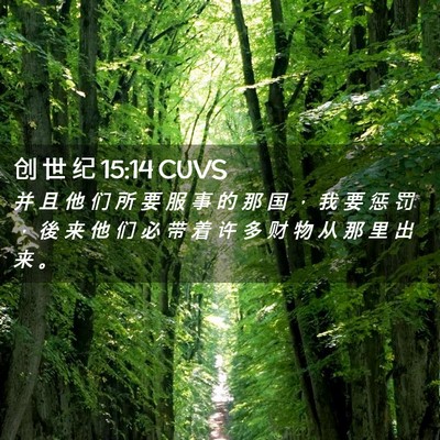Picture 02 - 创 世 纪 15:14 CUVS - 并 且 他 们 所 要 服 事 的 那 国 ， - Bible Verse Picture