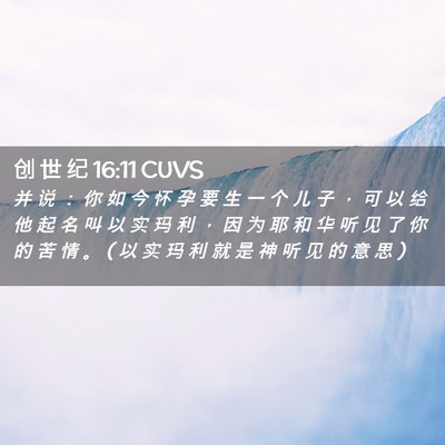 Picture 02 - 创 世 纪 16:11 CUVS - 并 说 ： 你 如 今 怀 孕 要 生 一 个 - Bible Verse Picture