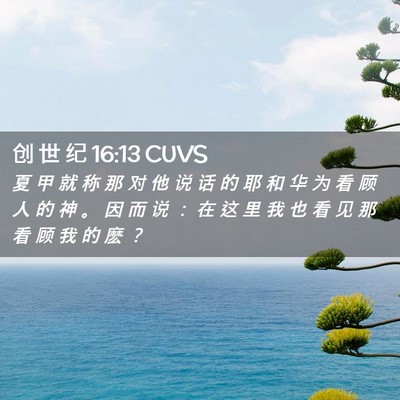Picture 02 - 创 世 纪 16:13 CUVS - 夏 甲 就 称 那 对 他 说 话 的 耶 和 - Bible Verse Picture