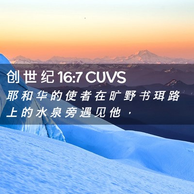 Picture 02 - 创 世 纪 16:7 CUVS - 耶 和 华 的 使 者 在 旷 野 书 珥 路 - Bible Verse Picture