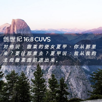 Picture 02 - 创 世 纪 16:8 CUVS - 对 他 说 ： 撒 莱 的 使 女 夏 甲 ， - Bible Verse Picture