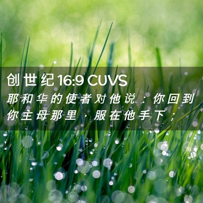 Picture 02 - 创 世 纪 16:9 CUVS - 耶 和 华 的 使 者 对 他 说 ： 你 回 - Bible Verse Picture