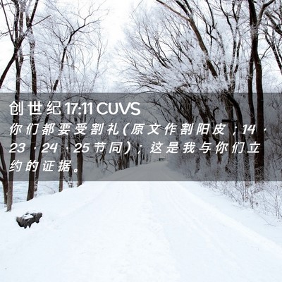Picture 02 - 创 世 纪 17:11 CUVS - 你 们 都 要 受 割 礼 ( 原 文 作 割 阳 - Bible Verse Picture