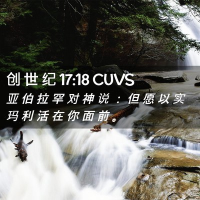 Picture 02 - 创 世 纪 17:18 CUVS - 亚 伯 拉 罕 对 神 说 ： 但 愿 以 实 - Bible Verse Picture