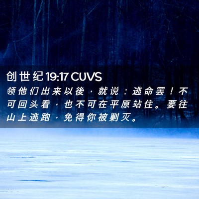 Picture 02 - 创 世 纪 19:17 CUVS - 领 他 们 出 来 以 後 ， 就 说 ： 逃 - Bible Verse Picture