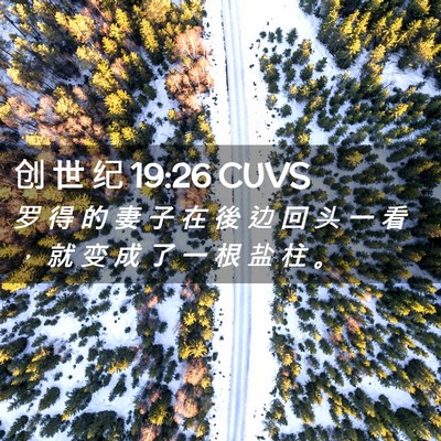 Picture 02 - 创 世 纪 19:26 CUVS - 罗 得 的 妻 子 在 後 边 回 头 一 看 - Bible Verse Picture