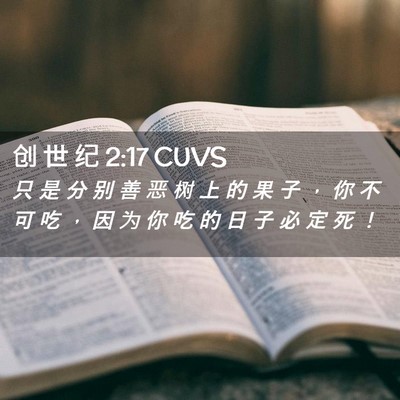 Picture 02 - 创 世 纪 2:17 CUVS - 只 是 分 别 善 恶 树 上 的 果 子 ， - Bible Verse Picture