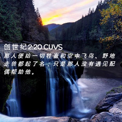 Picture 02 - 创 世 纪 2:20 CUVS - 那 人 便 给 一 切 牲 畜 和 空 中 飞 - Bible Verse Picture