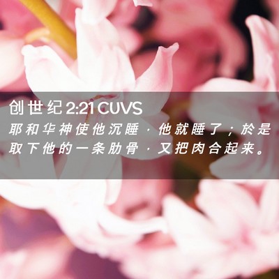 Picture 02 - 创 世 纪 2:21 CUVS - 耶 和 华 神 使 他 沉 睡 ， 他 就 睡 - Bible Verse Picture