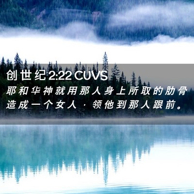 Picture 02 - 创 世 纪 2:22 CUVS - 耶 和 华 神 就 用 那 人 身 上 所 取 - Bible Verse Picture
