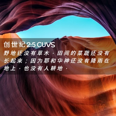 Picture 02 - 创 世 纪 2:5 CUVS - 野 地 还 没 有 草 木 ， 田 间 的 菜 - Bible Verse Picture