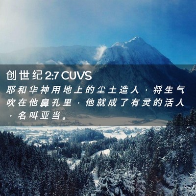 Picture 02 - 创 世 纪 2:7 CUVS - 耶 和 华 神 用 地 上 的 尘 土 造 人 - Bible Verse Picture