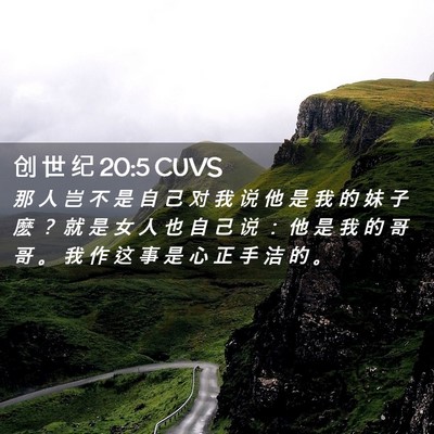 Picture 02 - 创 世 纪 20:5 CUVS - 那 人 岂 不 是 自 己 对 我 说 他 是 - Bible Verse Picture