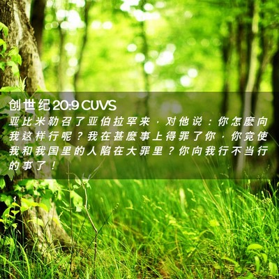 Picture 02 - 创 世 纪 20:9 CUVS - 亚 比 米 勒 召 了 亚 伯 拉 罕 来 ， - Bible Verse Picture