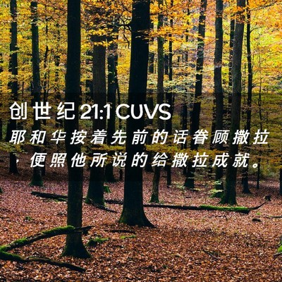 Picture 02 - 创 世 纪 21:1 CUVS - 耶 和 华 按 着 先 前 的 话 眷 顾 撒 - Bible Verse Picture