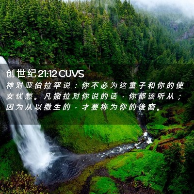 Picture 02 - 创 世 纪 21:12 CUVS - 神 对 亚 伯 拉 罕 说 ： 你 不 必 为 - Bible Verse Picture
