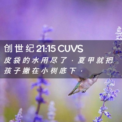 Picture 02 - 创 世 纪 21:15 CUVS - 皮 袋 的 水 用 尽 了 ， 夏 甲 就 把 - Bible Verse Picture
