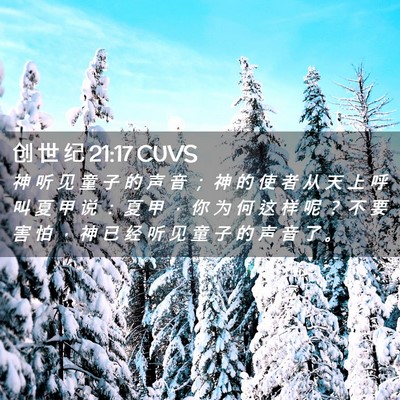 Picture 02 - 创 世 纪 21:17 CUVS - 神 听 见 童 子 的 声 音 ； 神 的 使 - Bible Verse Picture