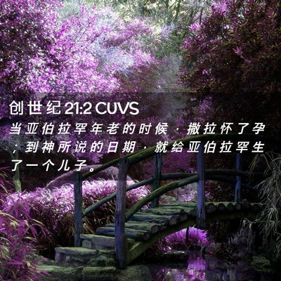 Picture 02 - 创 世 纪 21:2 CUVS - 当 亚 伯 拉 罕 年 老 的 时 候 ， 撒 - Bible Verse Picture