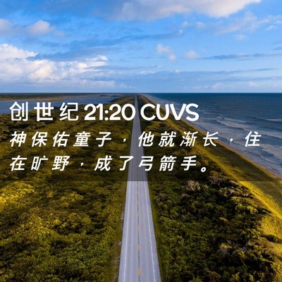 Picture 02 - 创 世 纪 21:20 CUVS - 神 保 佑 童 子 ， 他 就 渐 长 ， 住 - Bible Verse Picture