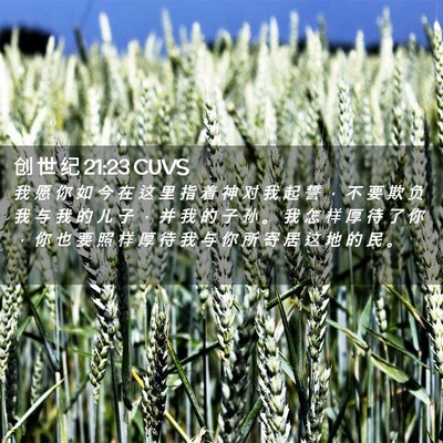 Picture 02 - 创 世 纪 21:23 CUVS - 我 愿 你 如 今 在 这 里 指 着 神 对 - Bible Verse Picture