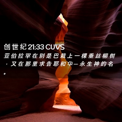 Picture 02 - 创 世 纪 21:33 CUVS - 亚 伯 拉 罕 在 别 是 巴 栽 上 一 棵 - Bible Verse Picture
