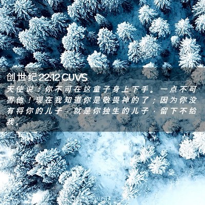 Picture 02 - 创 世 纪 22:12 CUVS - 天 使 说 ： 你 不 可 在 这 童 子 身 - Bible Verse Picture