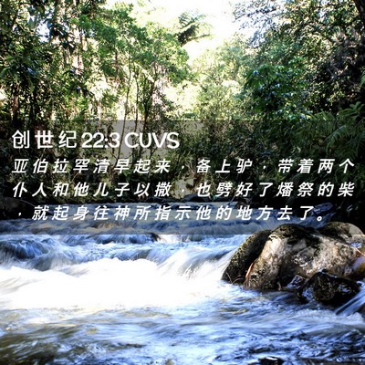 Picture 02 - 创 世 纪 22:3 CUVS - 亚 伯 拉 罕 清 早 起 来 ， 备 上 驴 - Bible Verse Picture