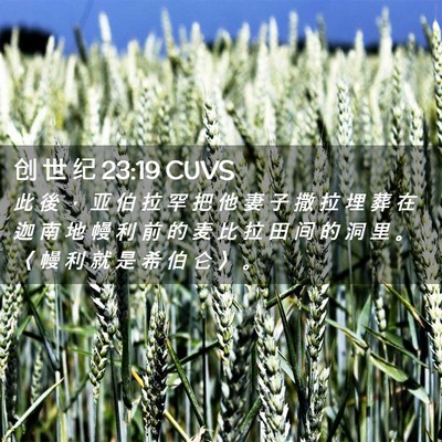 Picture 02 - 创 世 纪 23:19 CUVS - 此 後 ， 亚 伯 拉 罕 把 他 妻 子 撒 - Bible Verse Picture