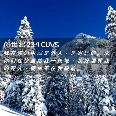 Picture 02 - 创 世 纪 23:4 CUVS - 我 在 你 们 中 间 是 外 人 ， 是 寄 - Bible Verse Picture