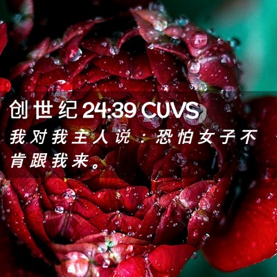 Picture 02 - 创 世 纪 24:39 CUVS - 我 对 我 主 人 说 ： 恐 怕 女 子 不 - Bible Verse Picture