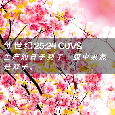 Picture 02 - 创 世 纪 25:24 CUVS - 生 产 的 日 子 到 了 ， 腹 中 果 然 - Bible Verse Picture