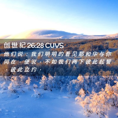Picture 02 - 创 世 纪 26:28 CUVS - 他 们 说 ： 我 们 明 明 的 看 见 耶 - Bible Verse Picture